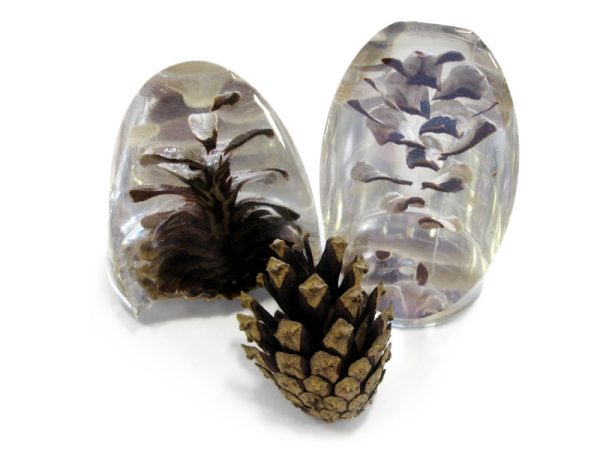 Epoxy Pine cones