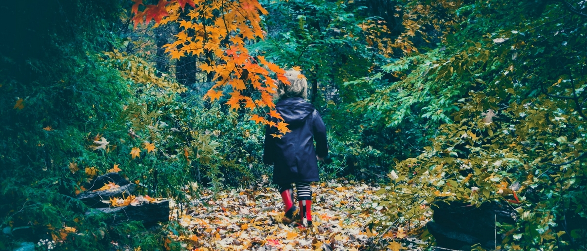 Observing the changing of your local seasons with your children can engage all of their senses. Child in raincoat in autumn forest setting.