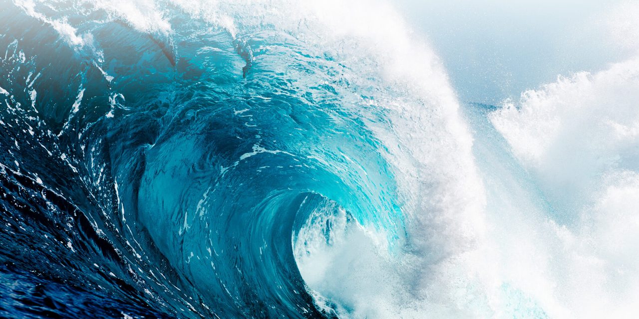 HotCoating Surfboards White or Wooden Entropy Resins