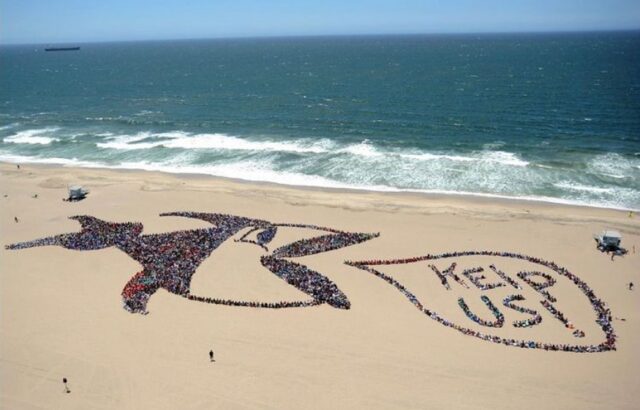 Students arrange themselves into human artwork when the beach cleanup is complete.