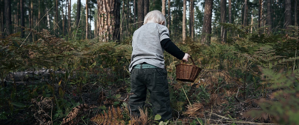 A closely supervised "thing finding" expedition in a natural setting is a joyous way to celebrate Earth Day with small children. Child exploring woods with a basket.